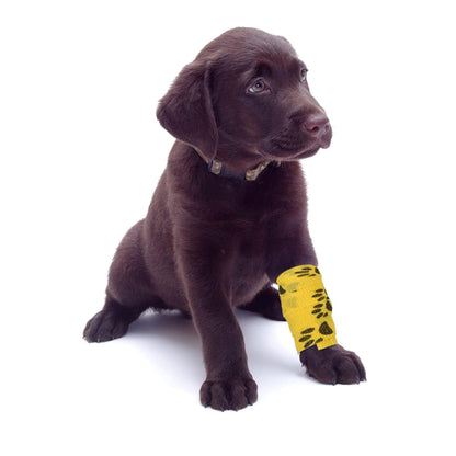 תחבושת אלסטית נצמדת לכלבים וחתולים