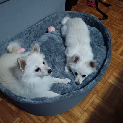 Hoofie מיטה אורטופדית לכלבים וחתולים