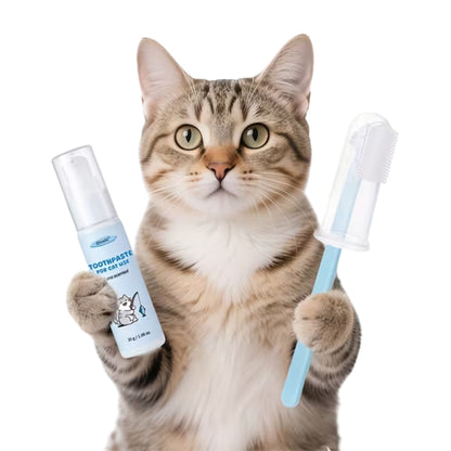 משחת שיניים לחתולים בטעם טונה עם מברשת שיניים ומברשת אצבע