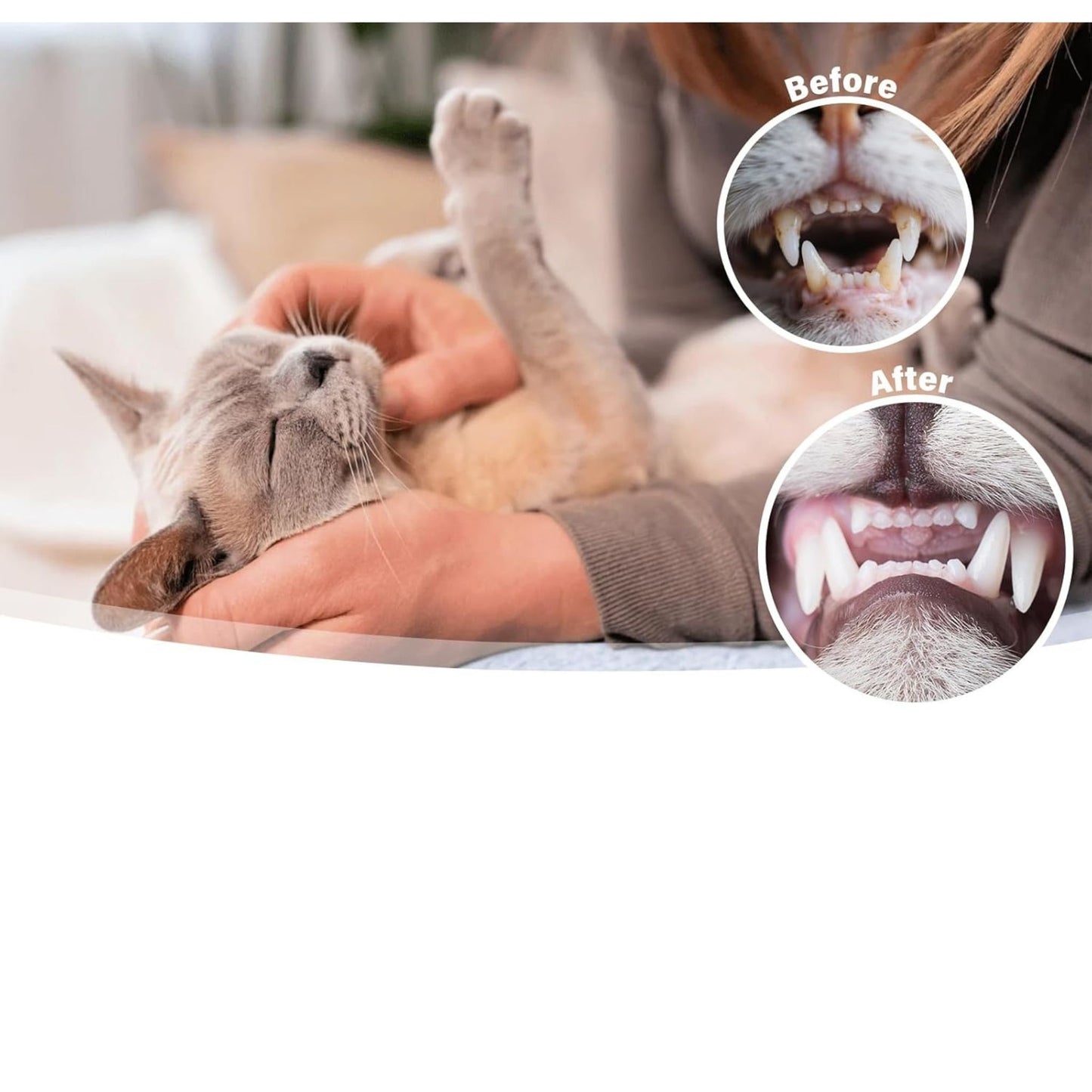 משחת שיניים לחתולים בטעם טונה עם מברשת שיניים ומברשת אצבע