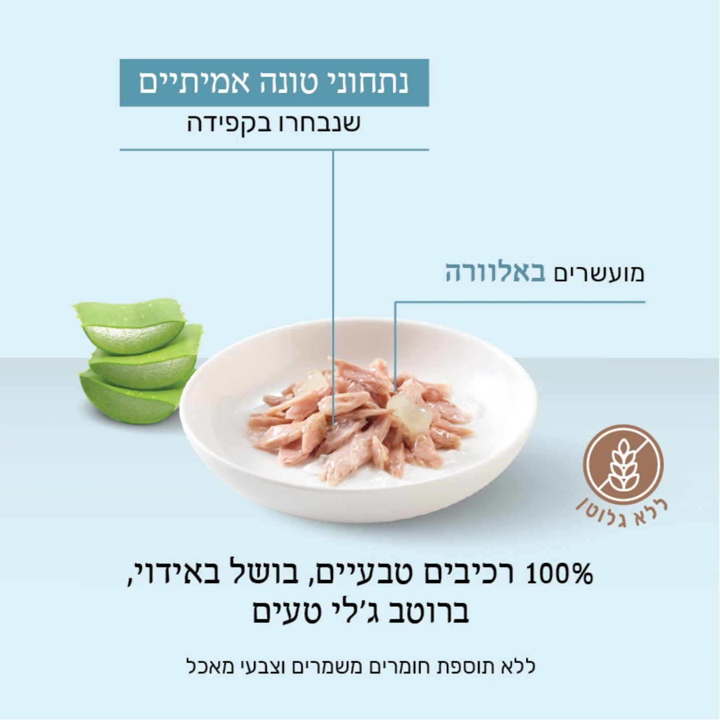Schesir Лакомство для кошек с тунцом и алоэ вера, желе, 85 г