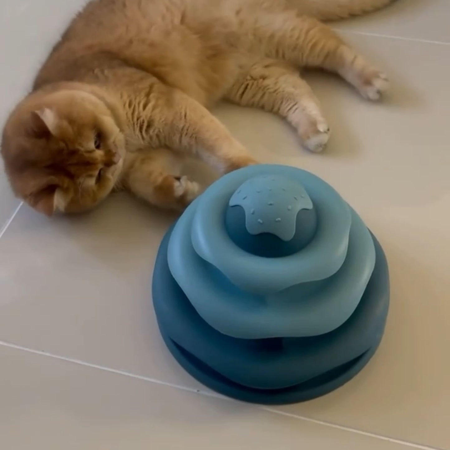 Hoofie צעצוע אינטראקטיבי לחתולים עם כדורים