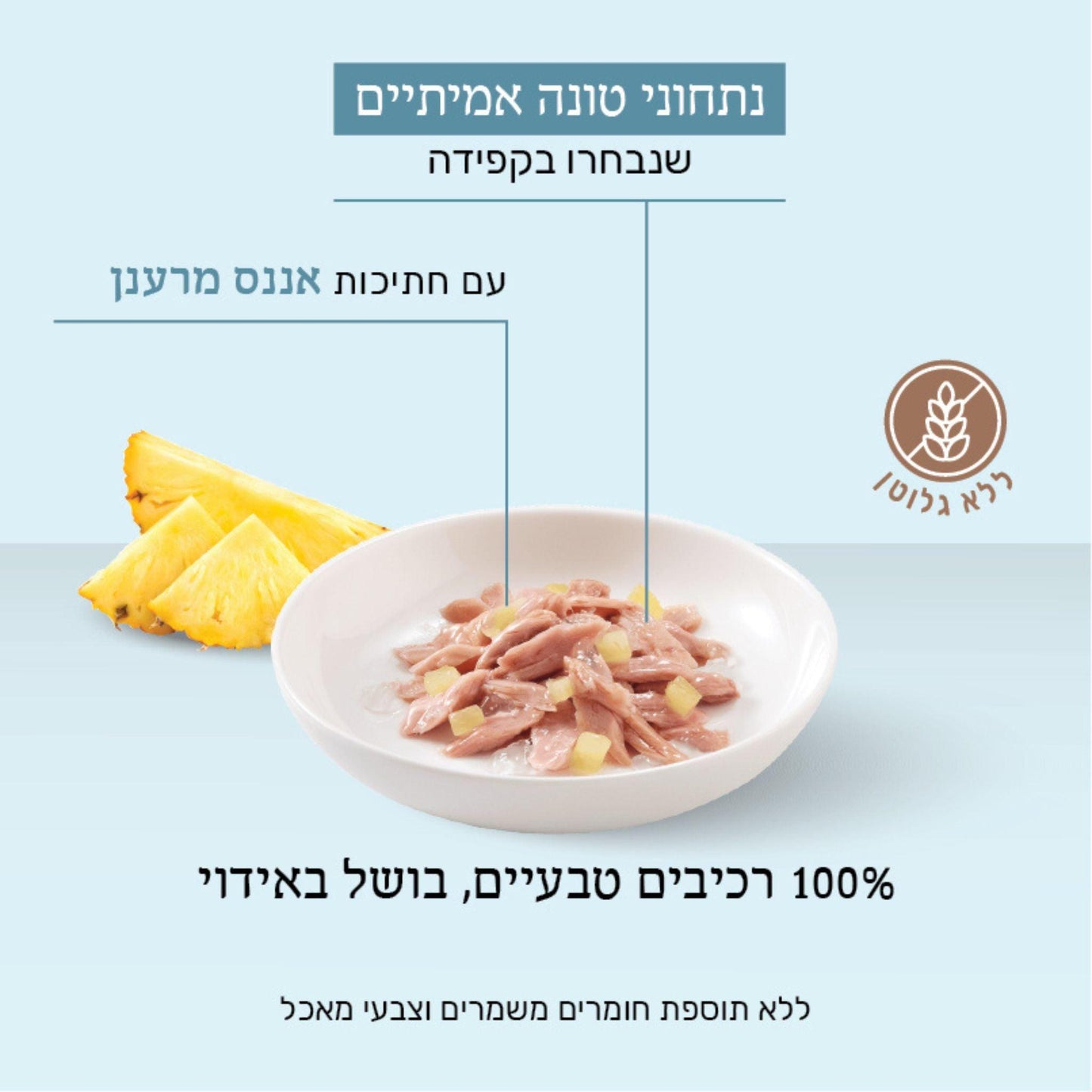 Schesir Лакомство для кошек с тунцом и ананасом, желе, 75 г
