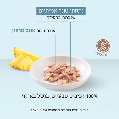 Schesir Лакомство для кошек с тунцом и ананасом, желе, 75 г