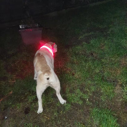 LED קולר זוהר לכלב נטען צבע אדום