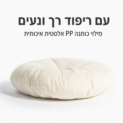 בית מיטה קקטוס לחתול