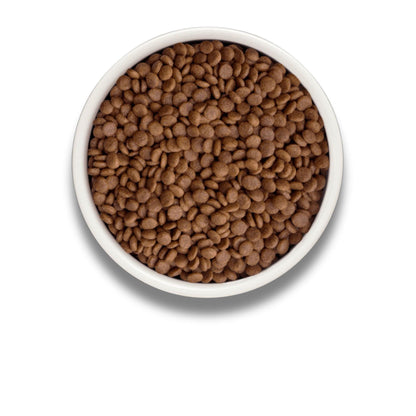 GRANDORF Fresh Salmon Grandorf Fresh Salmon for Adult Cats Hypoallergenic 2 kg