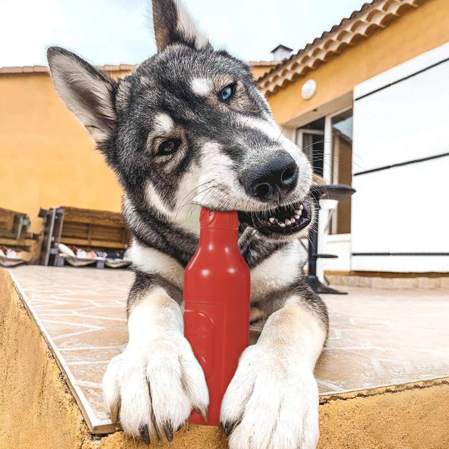 Hoofie צעצוע גומי בקבוק לכלבים