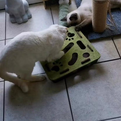 Hoofie צעצוע אינטראקטיבי לחתולים מבוך עם כדורים