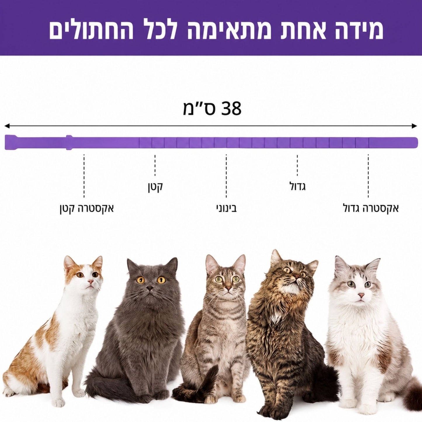 קולר הרגעה לחתולים 4 יחידות