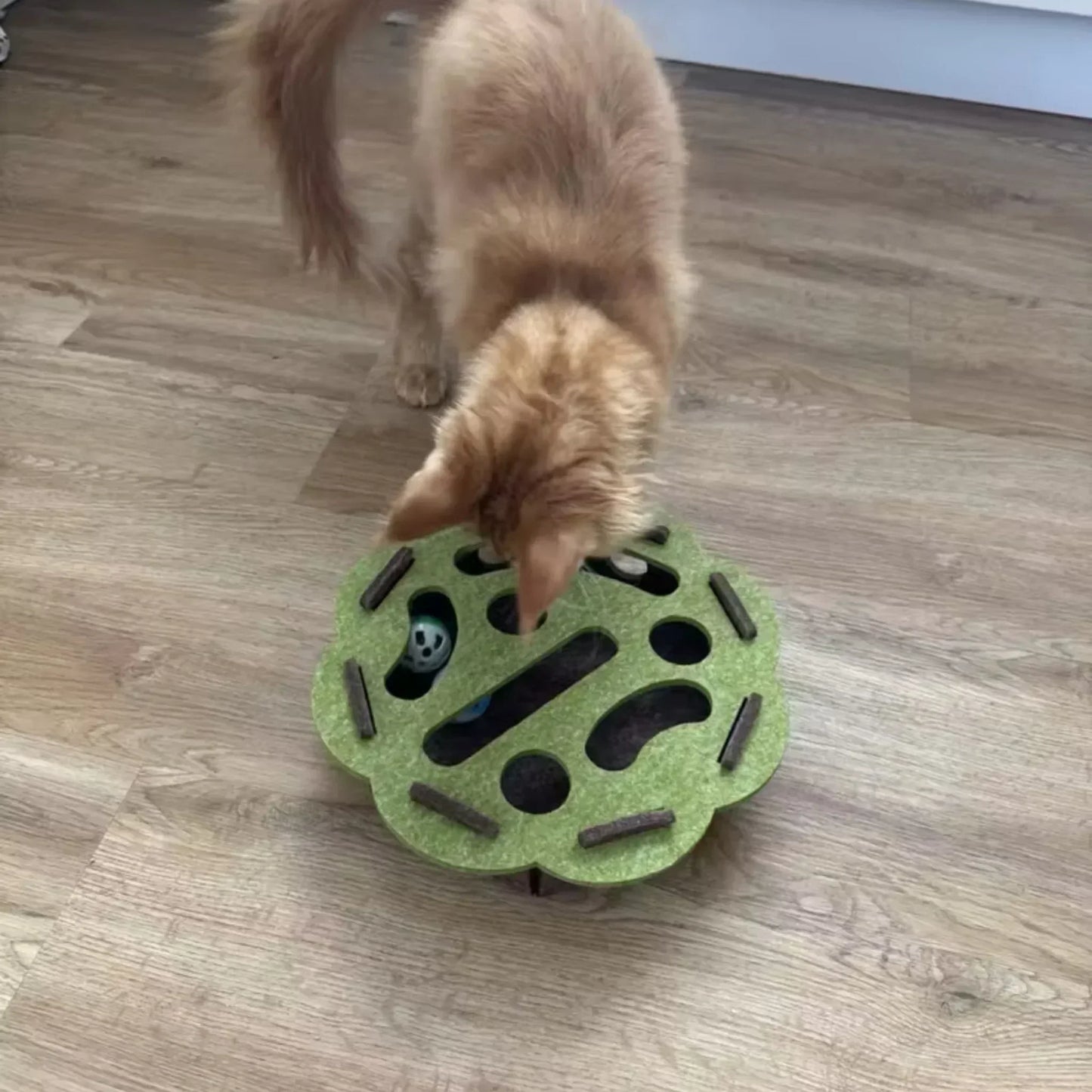 Hoofie צעצוע אינטראקטיבי לחתולים מבוך עם כדורים