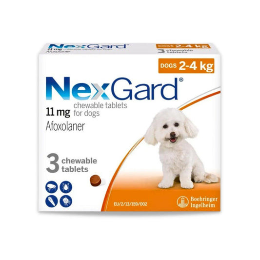 NexGard - נקסגארד לכלב קטן במשקל 4 - 2 ק"ג טבליות לעיסה נגד פרעושים וקרציות